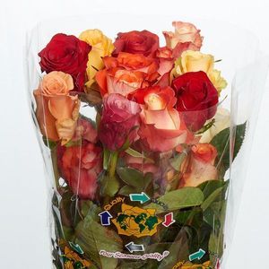 ROSE SEASONS MIX AUTUMN 40